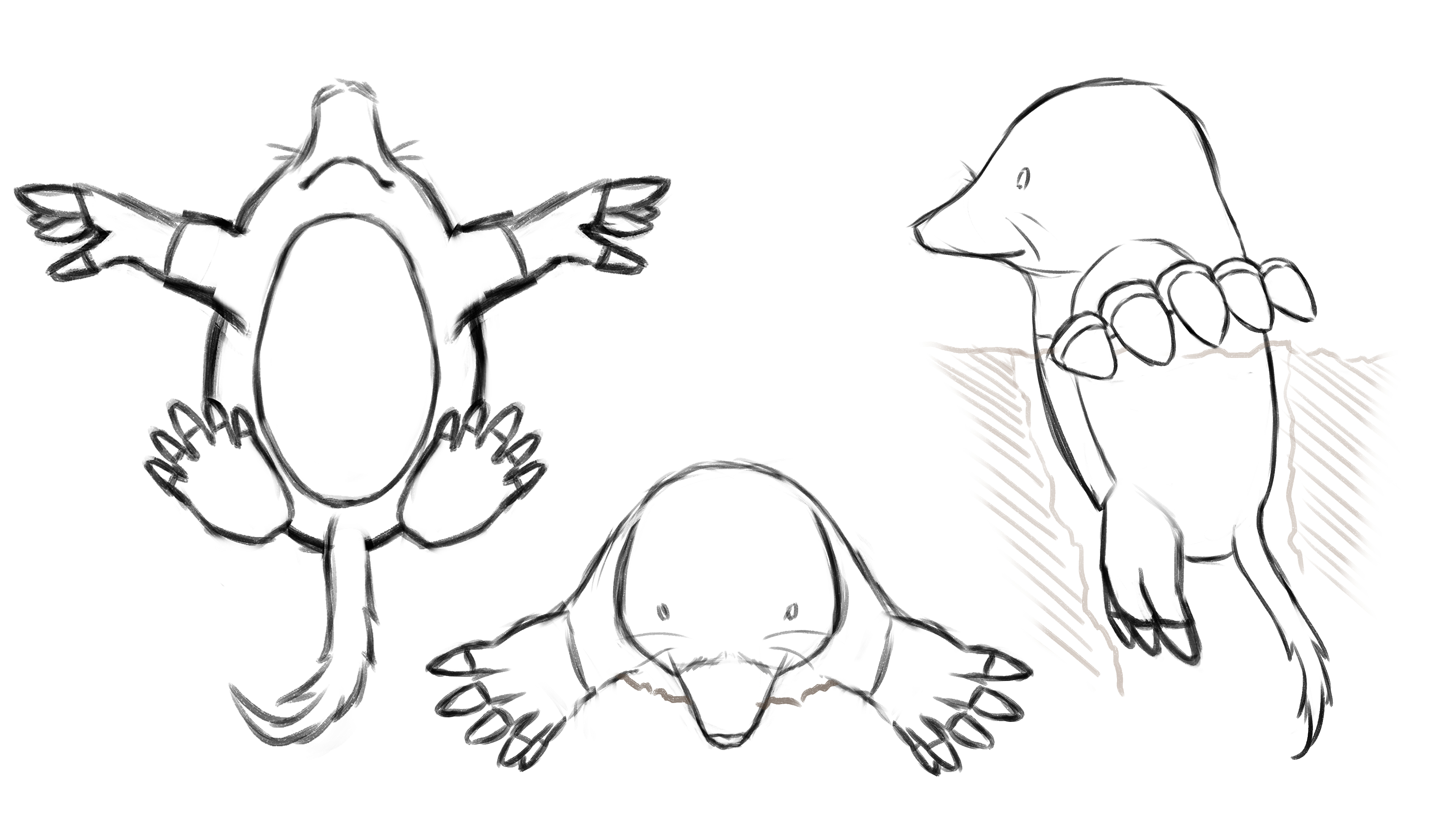 Mole 05